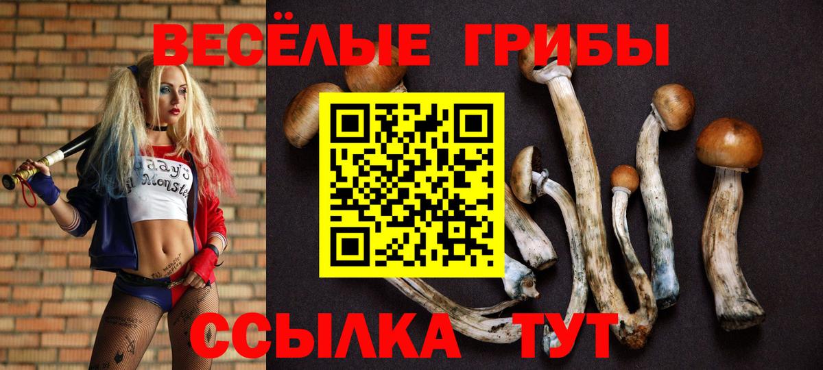 Псилоцибиновые грибы прущие грибы  Вход с VPN  Тулун  Галлюциногенные грибы прущие грибы 